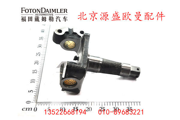 QT50AQ0-3001301,转向节总成（左）,北京源盛欧曼汽车配件有限公司