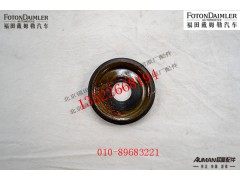 SQT50AQ0-3001601,主销下堵盖,北京源盛欧曼汽车配件有限公司