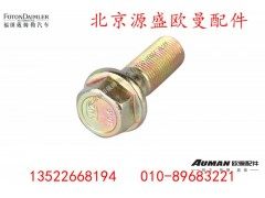 ZLS00S1-2400026,,北京源盛欧曼汽车配件有限公司