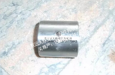30Z01-01019,转向节衬套（上）,北京远大欧曼汽车配件有限公司