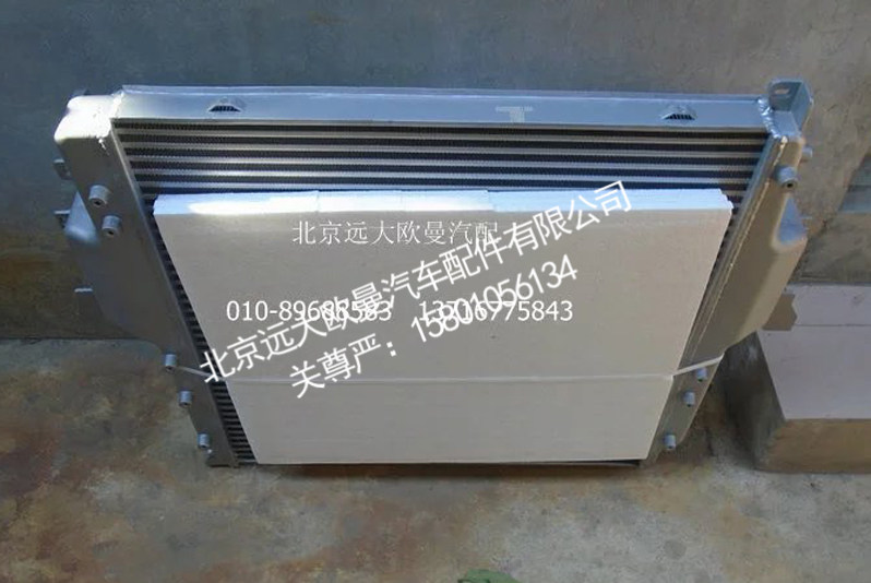 H4119302002A0中冷器总成