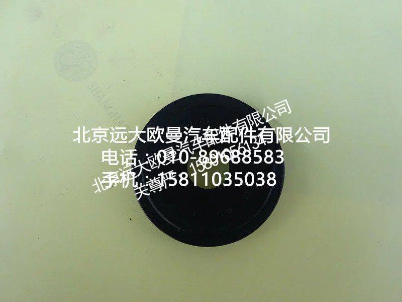 ,30Z01-主销油封01037,北京远大欧曼汽车配件有限公司