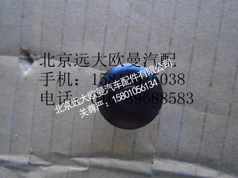 1B24984300029,卡扣销-挡泥板,北京远大欧曼汽车配件有限公司