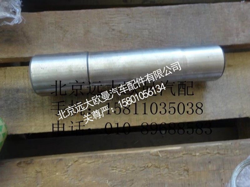 AK880410031转向节主销
