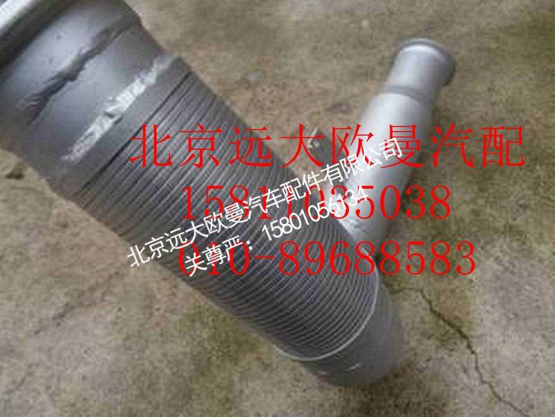 H0120060146A0,前排气管总成,北京远大欧曼汽车配件有限公司