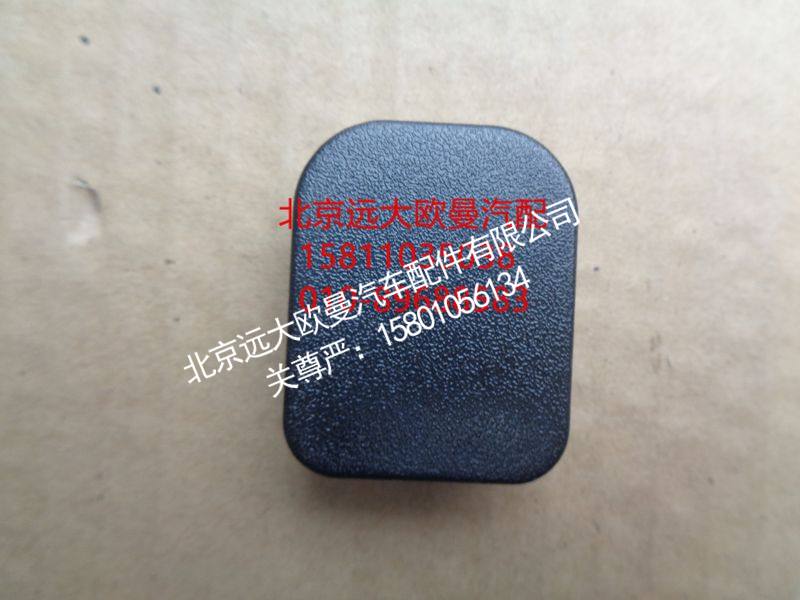 H0610168300A0,左车门护面闷盖,北京远大欧曼汽车配件有限公司