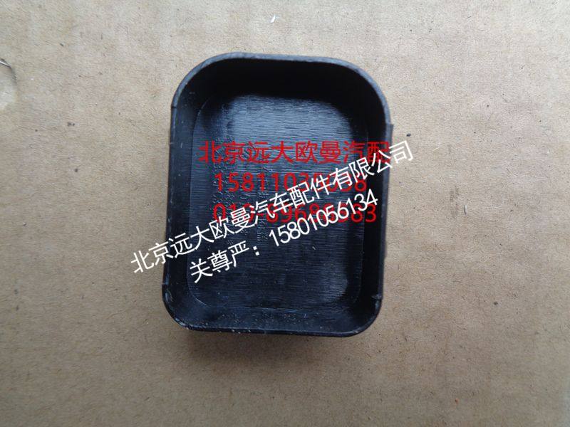 H0610168300A0,左车门护面闷盖,北京远大欧曼汽车配件有限公司