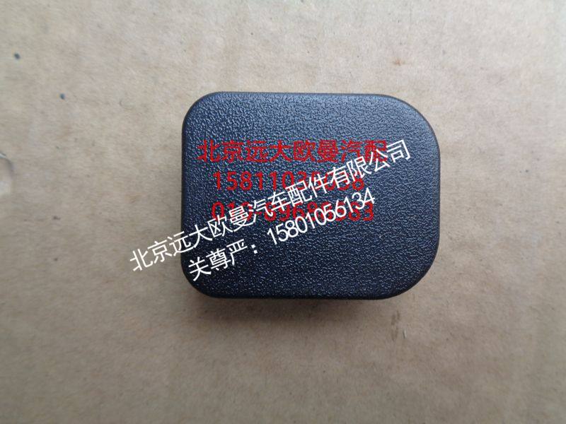 H0610168300A0,左车门护面闷盖,北京远大欧曼汽车配件有限公司