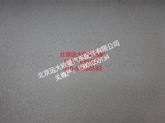FH4831011601A0,保险杠中装饰板,北京远大欧曼汽车配件有限公司
