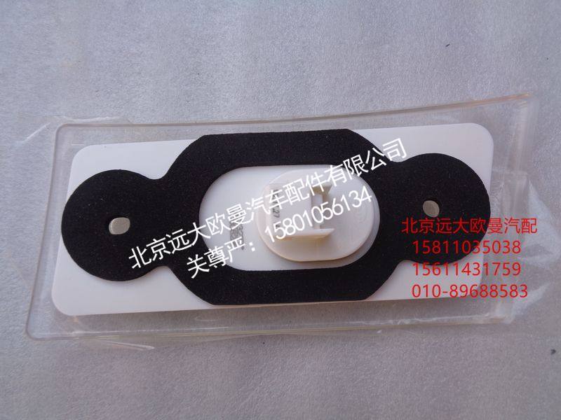 H4371050100A0,左前示廓灯总成,北京远大欧曼汽车配件有限公司