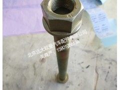 H0295840200A0M20,下推力杆螺栓,北京远大欧曼汽车配件有限公司