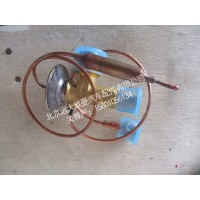 1B24981201997蒸发器芯体膨胀阀