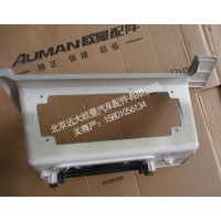 H4845011001A0左下脚踏板护照总成