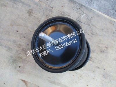 H429500000094,大气囊组件,北京远大欧曼汽车配件有限公司