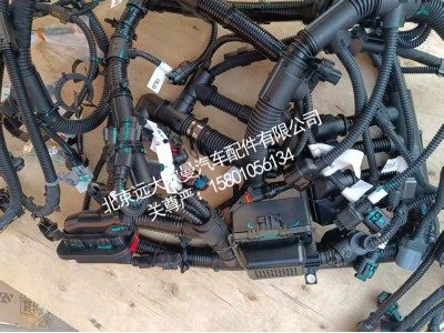 6318271A2080,发动机线束,北京远大欧曼汽车配件有限公司