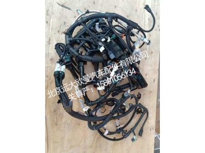 6318271A2080,发动机线束,北京远大欧曼汽车配件有限公司
