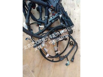 6318271A2080,发动机线束,北京远大欧曼汽车配件有限公司