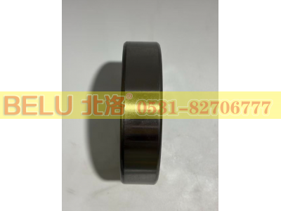 1310,调心球轴承,山东北洛轴承制造有限公司