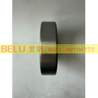 6309-2RS北洛