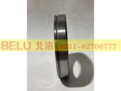 6018N,深沟球轴承,山东北洛轴承制造有限公司