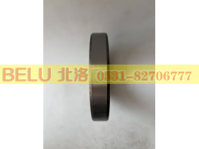 6017（117）,深沟球轴承,山东北洛轴承制造有限公司