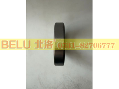 6011,深沟球轴承,山东北洛轴承制造有限公司