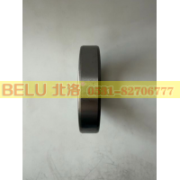6011北洛