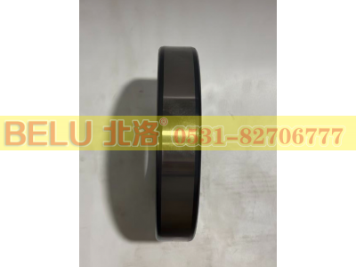 NJ222E,圆柱滚子轴承,山东北洛轴承制造有限公司