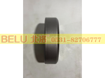 91210 免维护,滚针轴承,山东北洛轴承制造有限公司