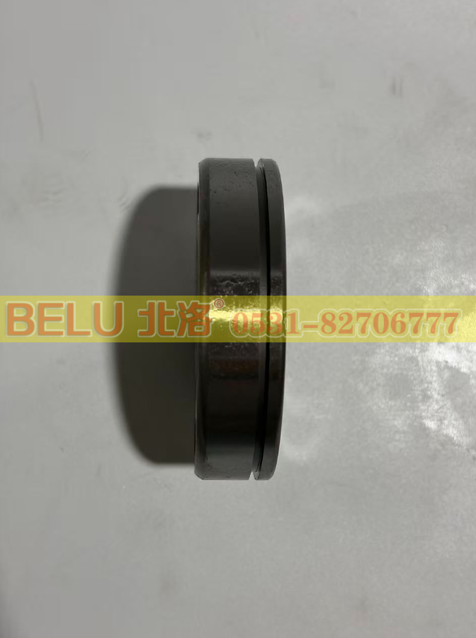 NUP207EN,圆柱滚子轴承,山东北洛轴承制造有限公司