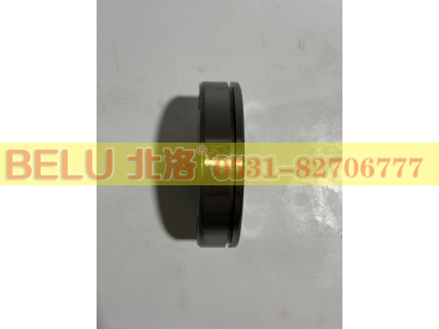 NUP207EN,圆柱滚子轴承,山东北洛轴承制造有限公司