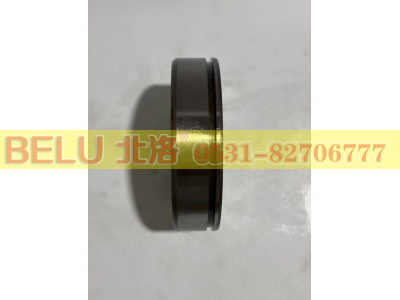 NUP308EN,圆柱滚子轴承,山东北洛轴承制造有限公司