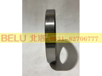 6020,深沟球轴承,山东北洛轴承制造有限公司