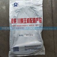 P10H 611600150006
