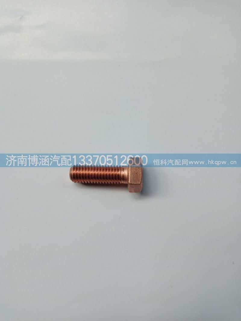 VG1246110058,增压器螺栓,济南博涵汽配有限公司