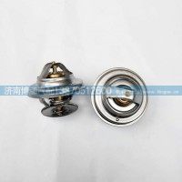 61800060172节温器芯
