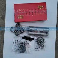 WG4005415303转向节修理包