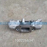 1002266341排气支管