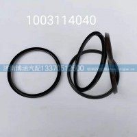排气管密封环 1003114040