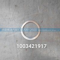 1003421917垫片