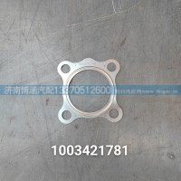 1003421781垫片