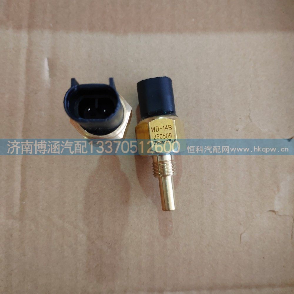 HG1500099008温度传感器