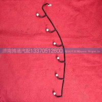 1009900654喷油器回油管