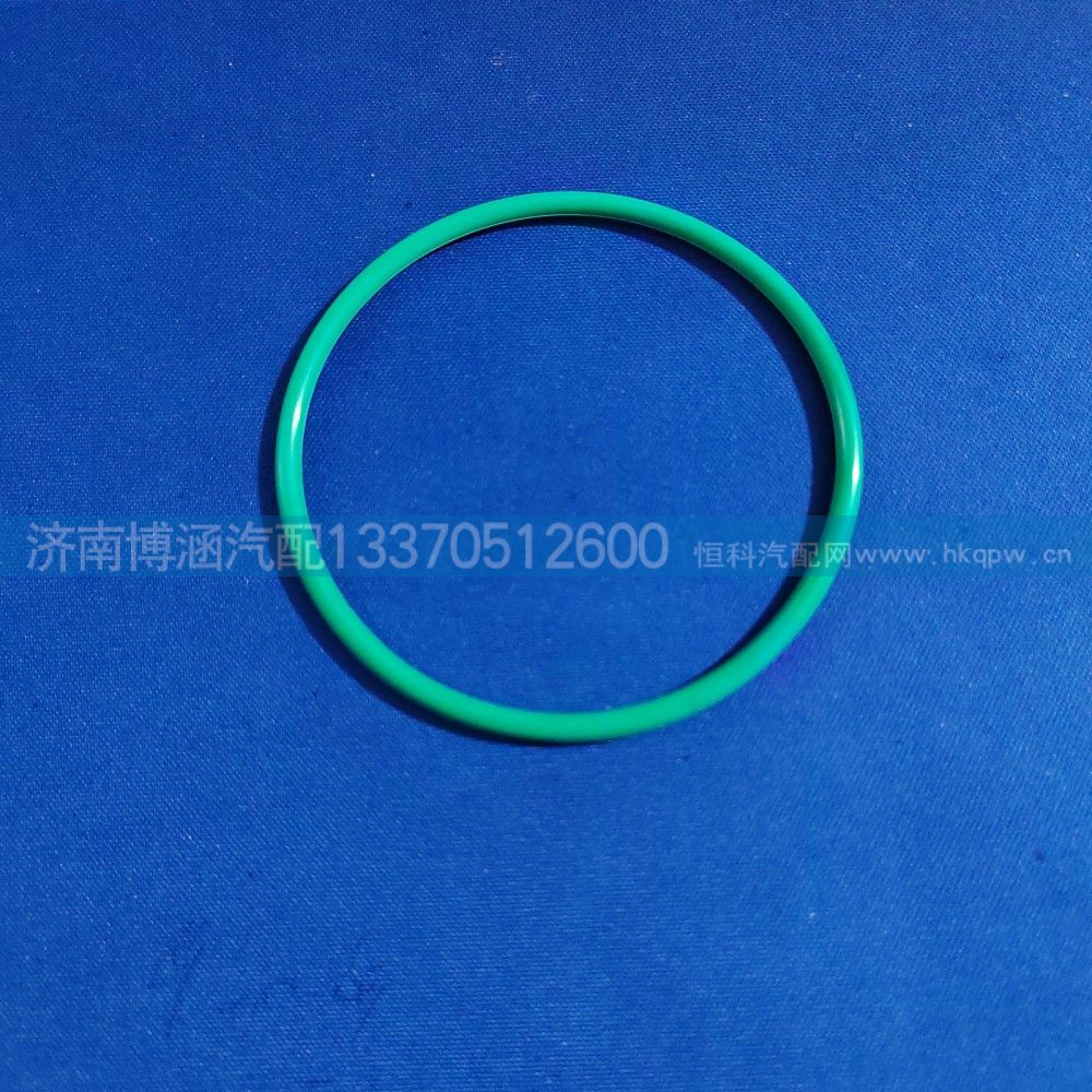 VG190320035密封圈