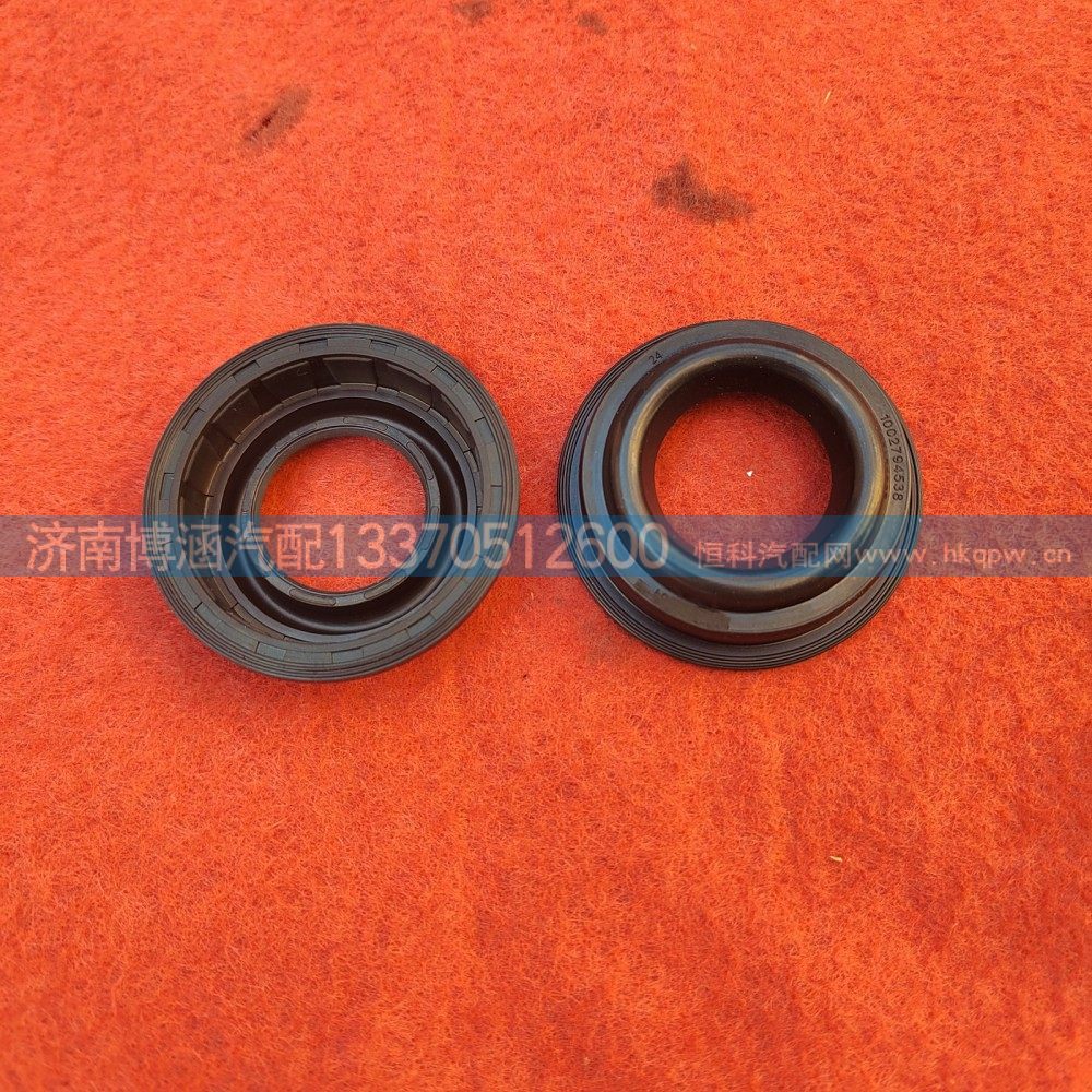 1002794538点火线圈油封