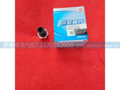 617009000302,,济南博涵汽配有限公司