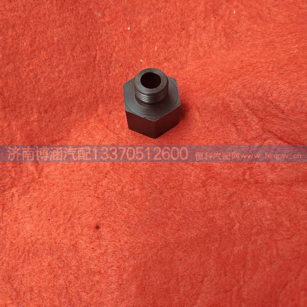 VG1246110046进油管座