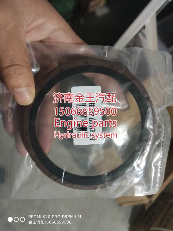 61500010046,,济南金王重汽配件经营部