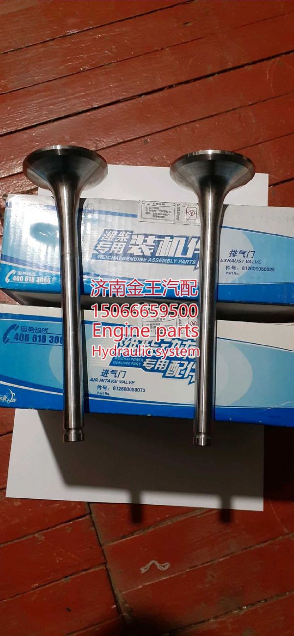 61260050025,,济南金王重汽配件经营部