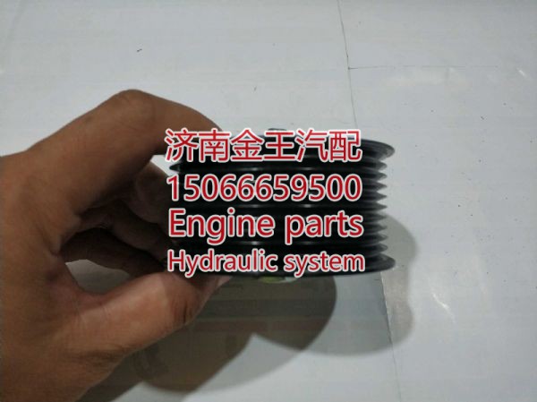 RDL120004/0838,,济南金王重汽配件经营部